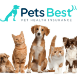 Best Pet Insurance for Dogs in 2024: A Comprehensive Guide